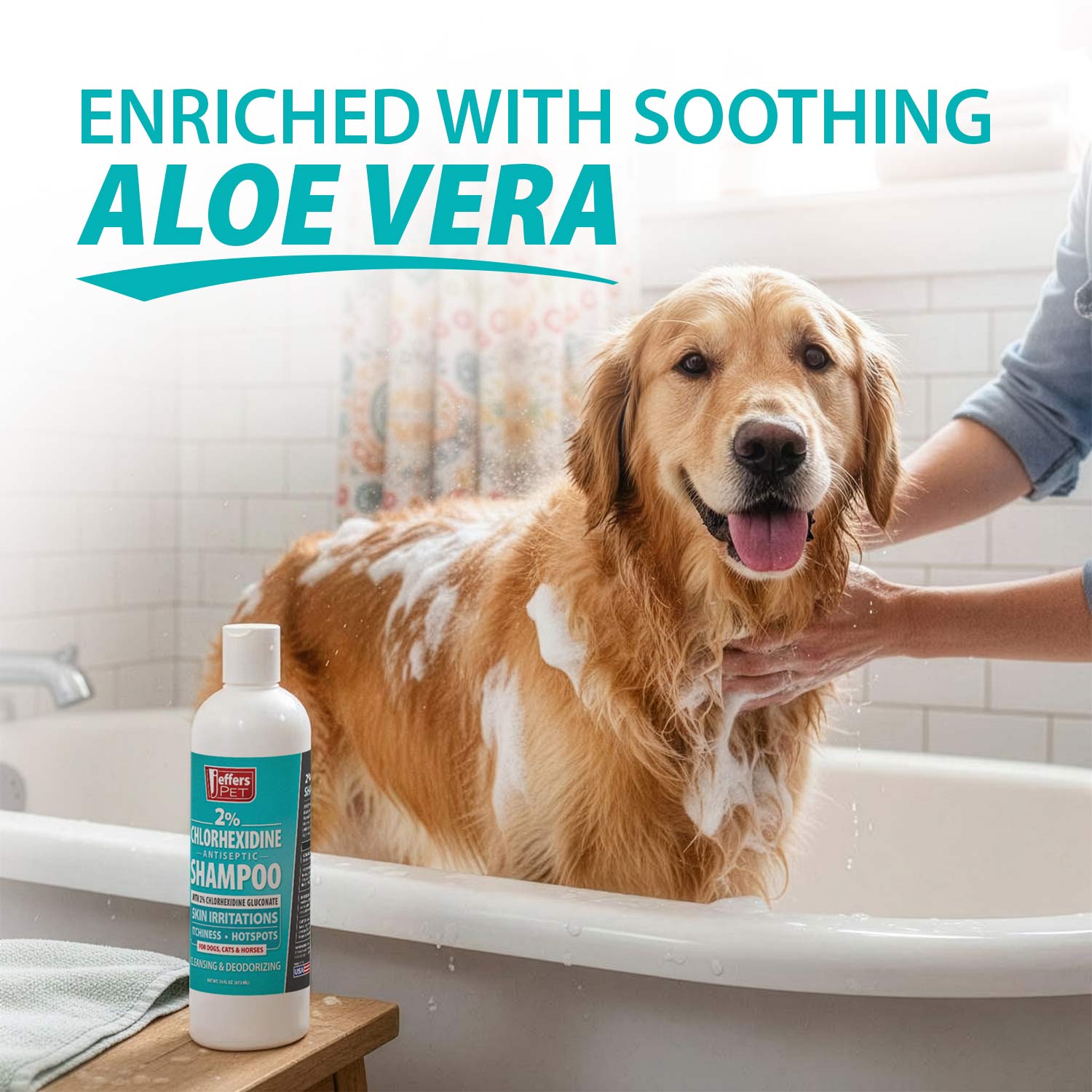 Jeffers Medicated 2% Chlorhexidine Shampoo for Dogs, Cats & Horses