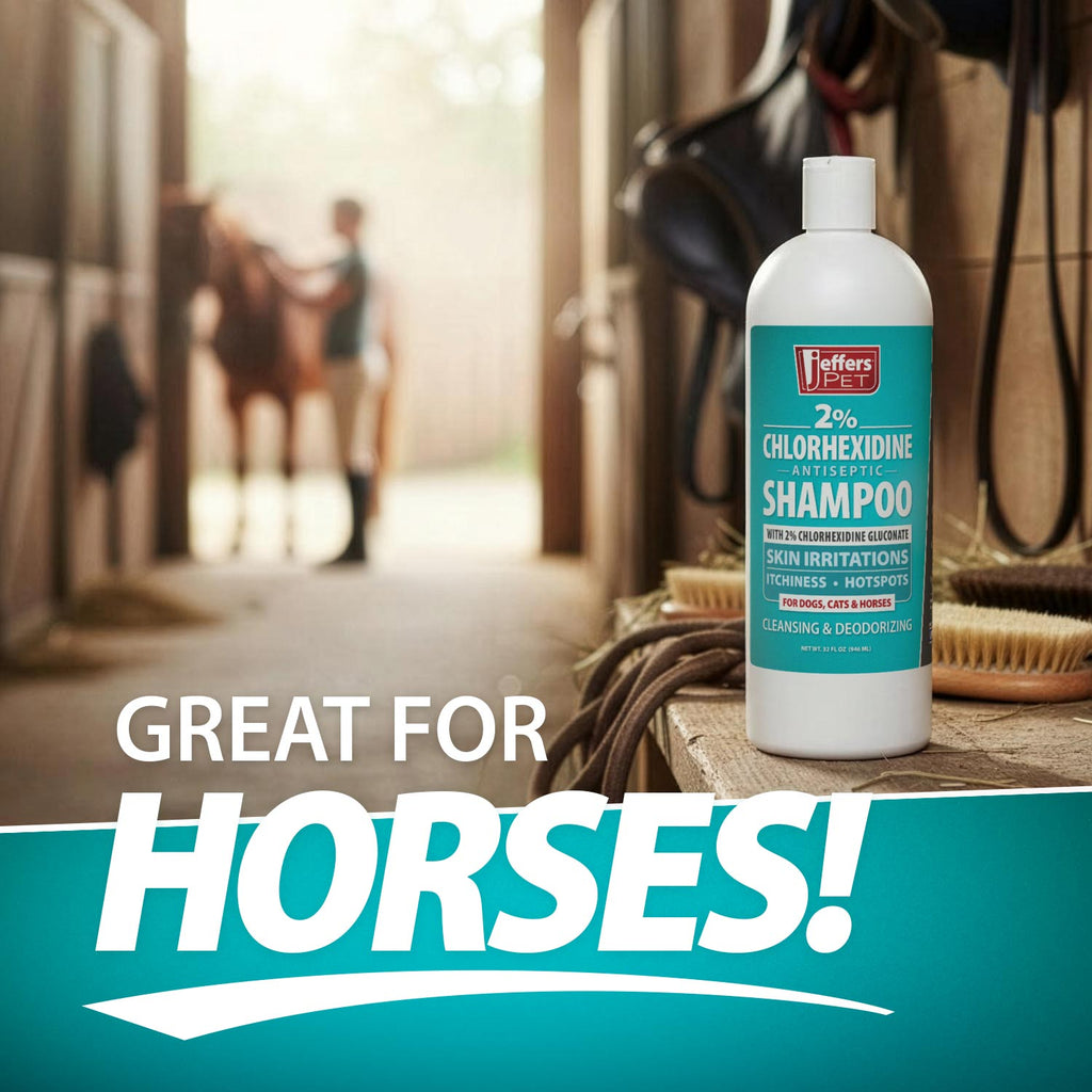 Jeffers Medicated 2% Chlorhexidine Shampoo for Dogs, Cats & Horses