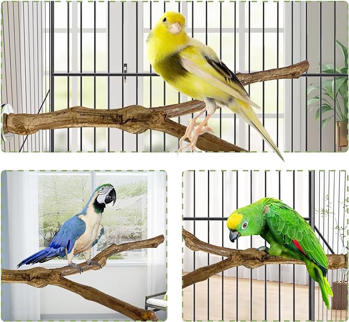 kathson Natural Parrot Perch Bird Stand Pole Wild Grape Stick Paw Grinding Fork Parakeet Climbing Standing Branches Toy Chewable Cage Accessories for Small Budgies Cockatiels Lovebirds 2PCS - PhishStones Products