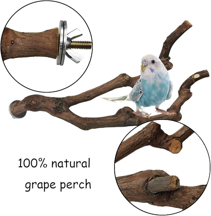 kathson Natural Parrot Perch Bird Stand Pole Wild Grape Stick Paw Grinding Fork Parakeet Climbing Standing Branches Toy Chewable Cage Accessories for Small Budgies Cockatiels Lovebirds 2PCS - PhishStones Products