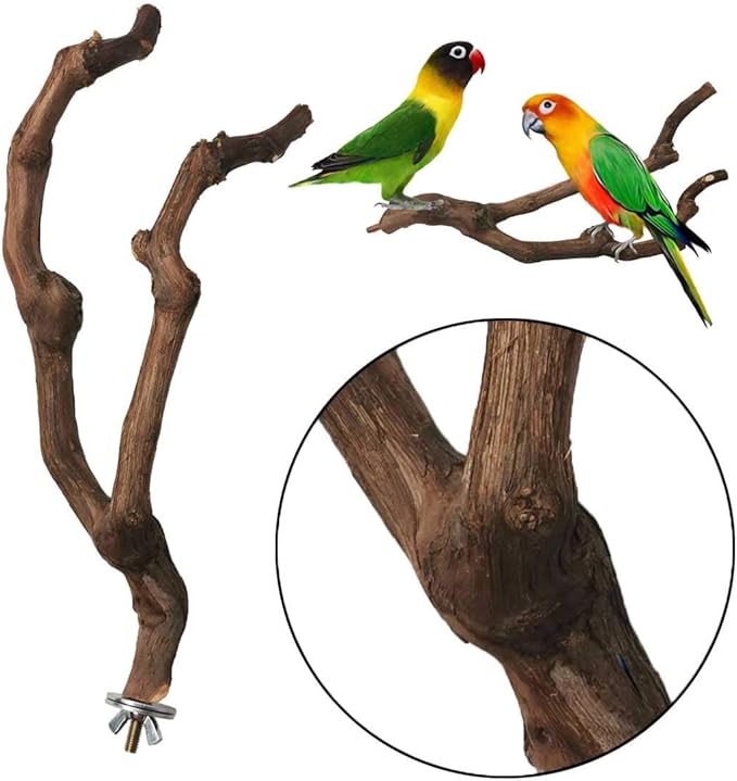 kathson Natural Parrot Perch Bird Stand Pole Wild Grape Stick Paw Grinding Fork Parakeet Climbing Standing Branches Toy Chewable Cage Accessories for Small Budgies Cockatiels Lovebirds 2PCS - PhishStones Products