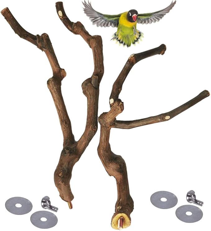 kathson Natural Parrot Perch Bird Stand Pole Wild Grape Stick Paw Grinding Fork Parakeet Climbing Standing Branches Toy Chewable Cage Accessories for Small Budgies Cockatiels Lovebirds 2PCS - PhishStones Products