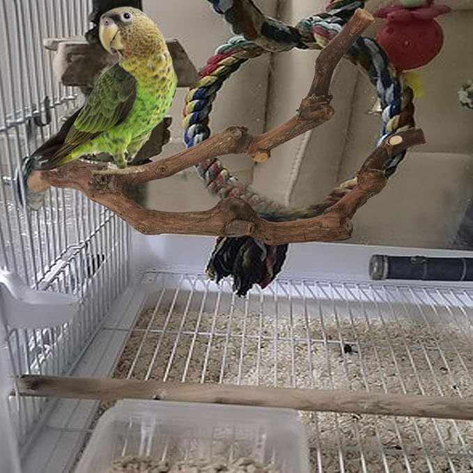 kathson Natural Parrot Perch Bird Stand Pole Wild Grape Stick Paw Grinding Fork Parakeet Climbing Standing Branches Toy Chewable Cage Accessories for Small Budgies Cockatiels Lovebirds 2PCS - PhishStones Products
