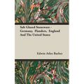 Salt Glazed Stoneware - Germany, Flanders, England And The United States - Paperback