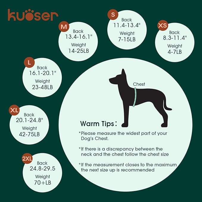 Kuoser Dog Recovery Suit for Dogs After Surgery,Professional Surgical Onesie for Female Male Dogs Spay Neuter,Soft Dog Surgery Suit Bodysuit for Abdominal Wounds Skin Disease,Purple Leopard XS - PhishStones Products