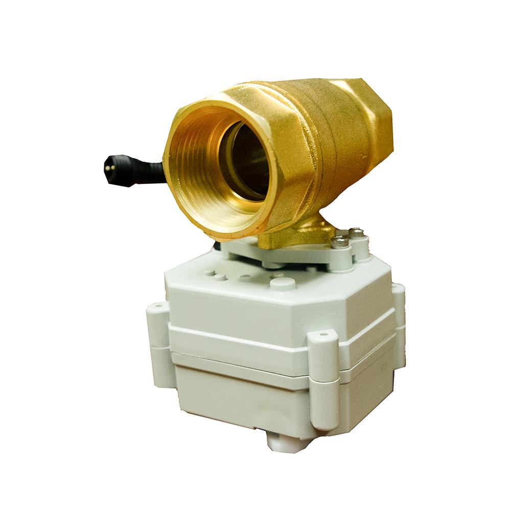 Leak Detector Smart Valve (For ALL Whole House Water Filters) 1"