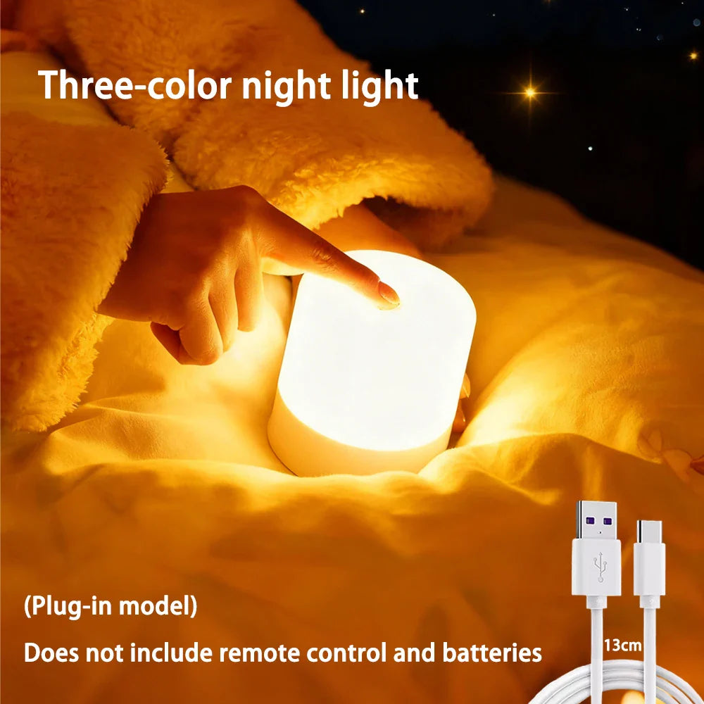 LED Dimmable Night Light Rechargeable and Plug - in Touch RGB Bedside Desk Lamp - PhishStones Products