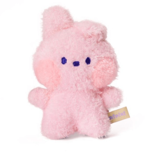 BTS x BT21- Minini Plush Doll