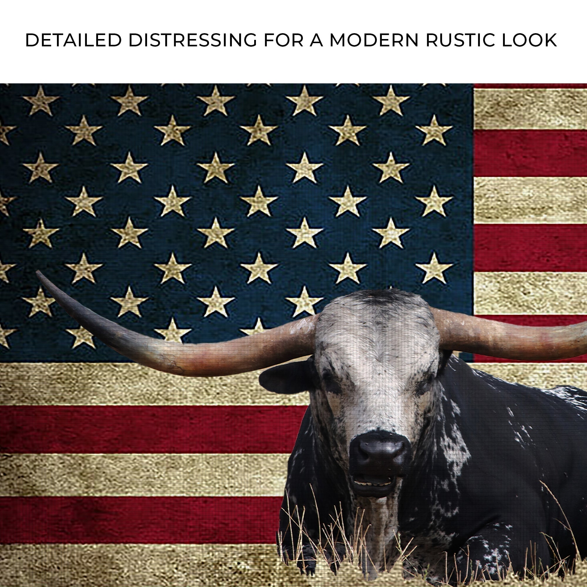 Longhorn Cattle American Flag Canvas Wall Art - PhishStones Products