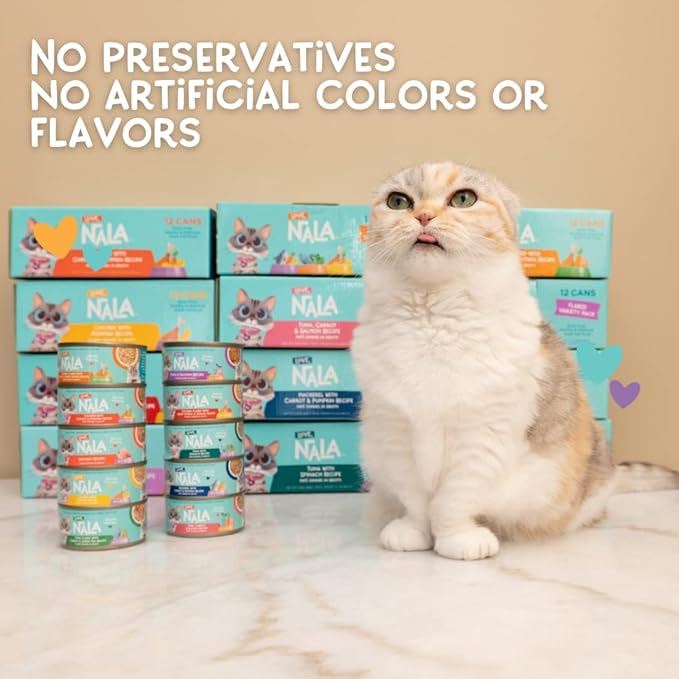 LOVE, NALA - Natural Adult Cat Wet Food - Pate Chicken with Carrot & Pumpkin Recipe - Grain Free, Non - GMO, Lean Protein, Digestive Fiber Blend, Added Minerals & Vitamins - 12 Pack 2.4 lbs. - PhishStones Products