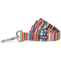 *Hippie Dog Leash*