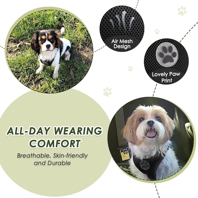 Lukovee Dog Seat Belt - Adjustable Dog Car Harness for Large, Medium & Small Dogs, Soft Padded & Breathable Mesh Dog Seatbelt with Car Vehicle Connector Strap (Black, XX - Small) - PhishStones Products