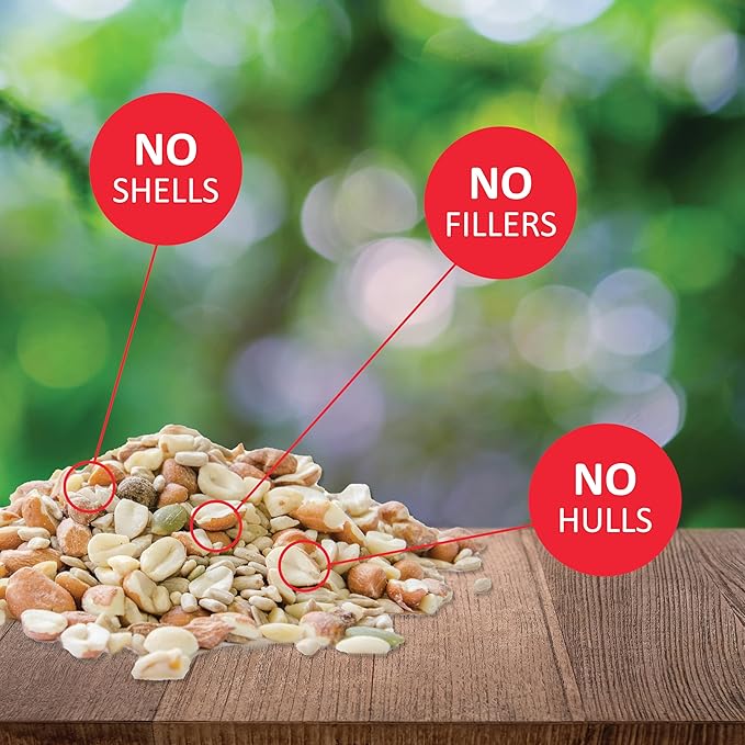 Lyric Delite Wild Bird Seed - No Waste Bird Food Mix with Shell - Free Nuts & Seeds - Attracts Buntings, Chickadees & Finches - 5 lb bag - PhishStones Products