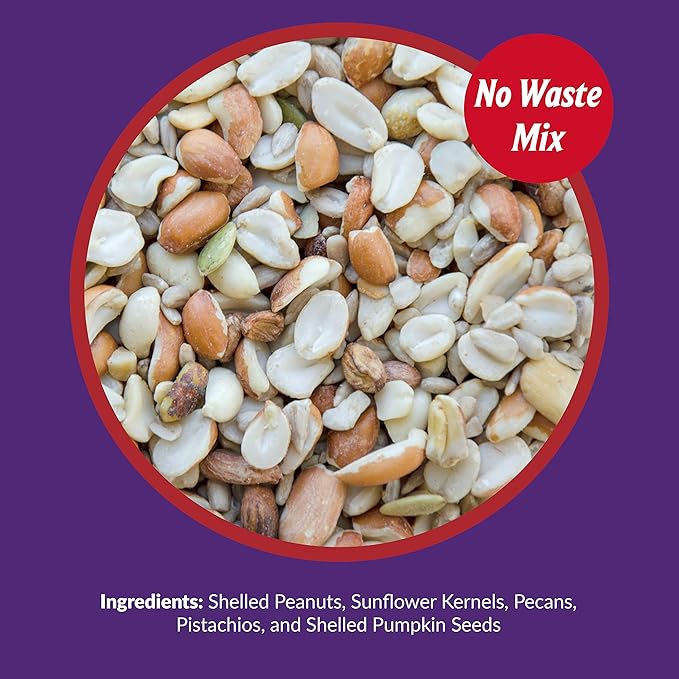 Lyric Delite Wild Bird Seed - No Waste Bird Food Mix with Shell - Free Nuts & Seeds - Attracts Buntings, Chickadees & Finches - 5 lb bag - PhishStones Products