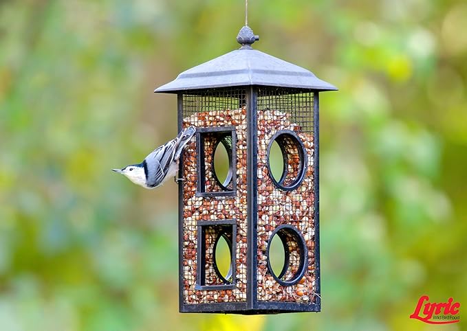 Lyric Delite Wild Bird Seed - No Waste Bird Food Mix with Shell - Free Nuts & Seeds - Attracts Buntings, Chickadees & Finches - 5 lb bag - PhishStones Products