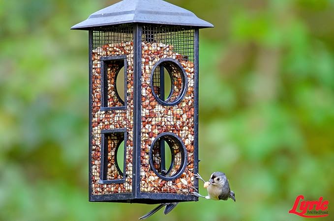Lyric Delite Wild Bird Seed - No Waste Bird Food Mix with Shell - Free Nuts & Seeds - Attracts Buntings, Chickadees & Finches - 5 lb bag - PhishStones Products