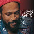 Marvin Gaye - Collected (2 LP) - PhishStones Products