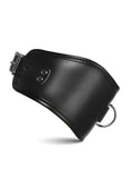 Master Series Hard Stance Padded Lock Posture Collar