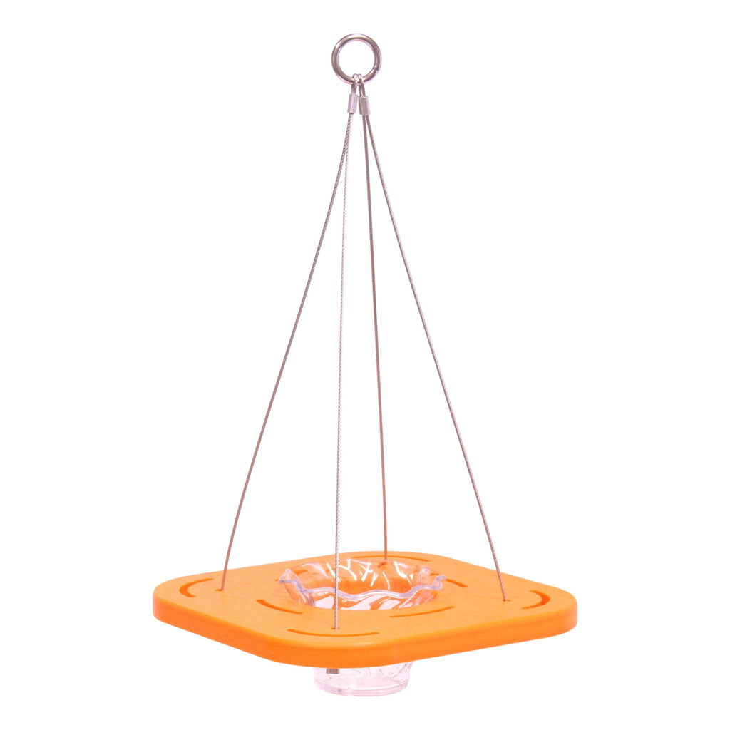 Oriole Bird Feeder, Porch Jelly-Cup Oriole Feeder, Poly Lumber