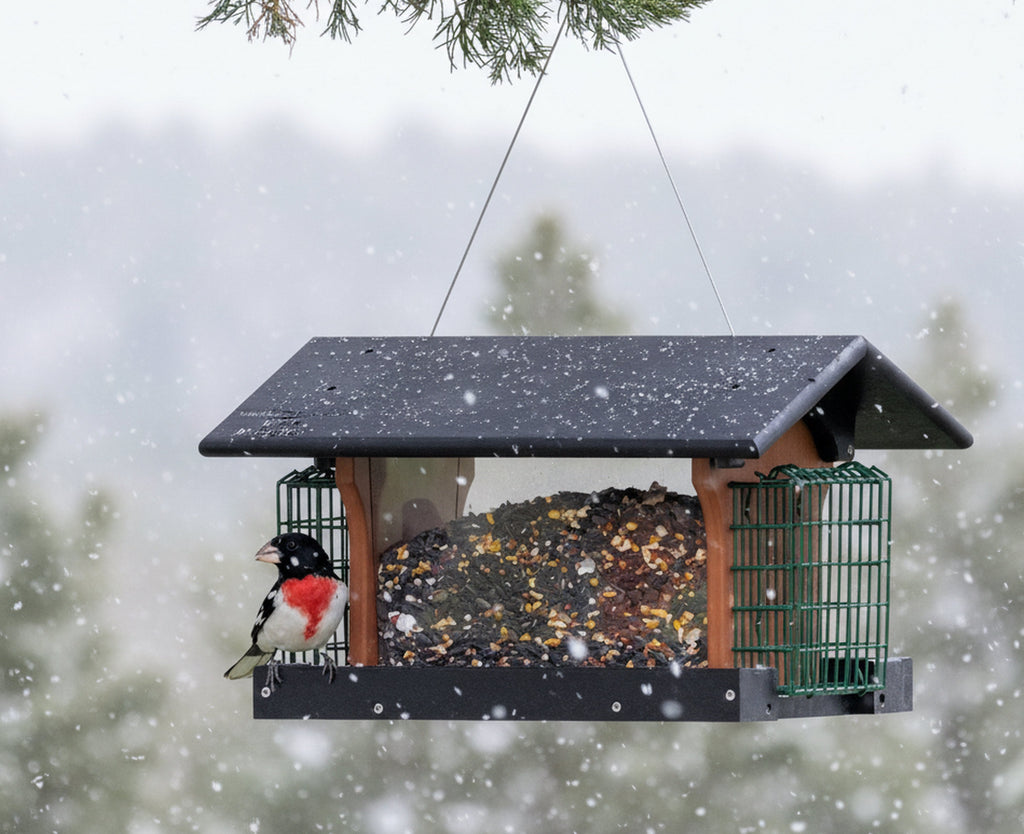 Amish-Made Deluxe Bird Feeder with Suet Holder, Made With Poly Lumber
