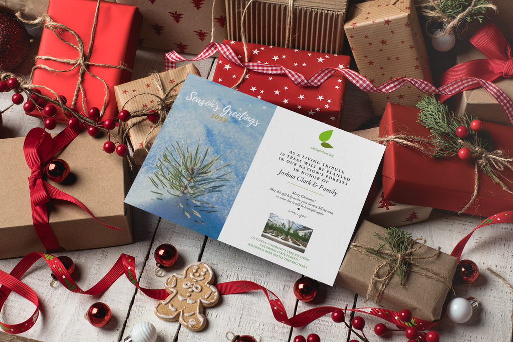 Plant a Tree Holiday Card 2026