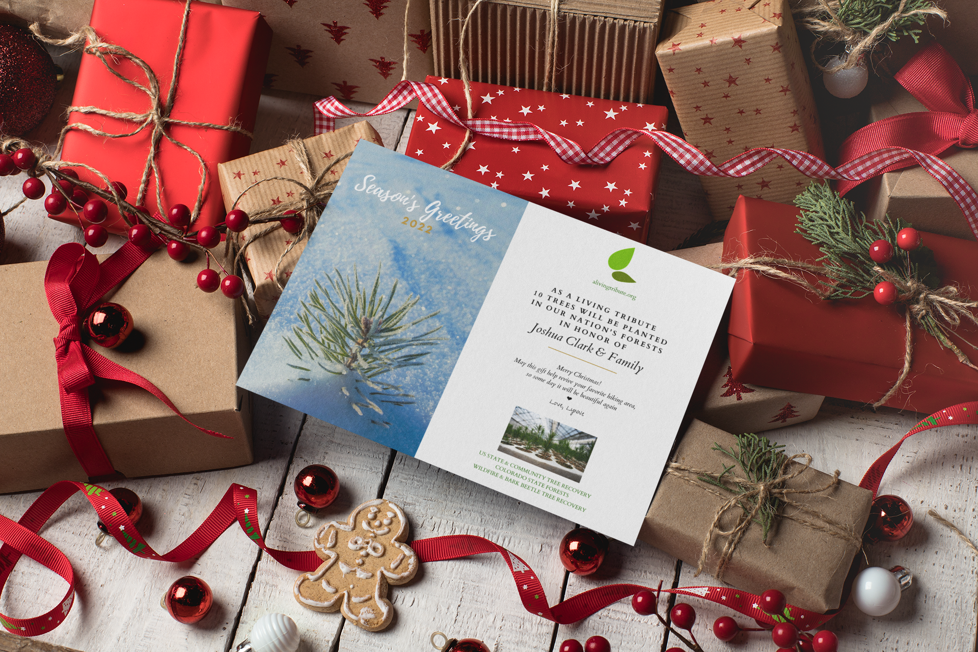 Plant a Tree Holiday Card 2026