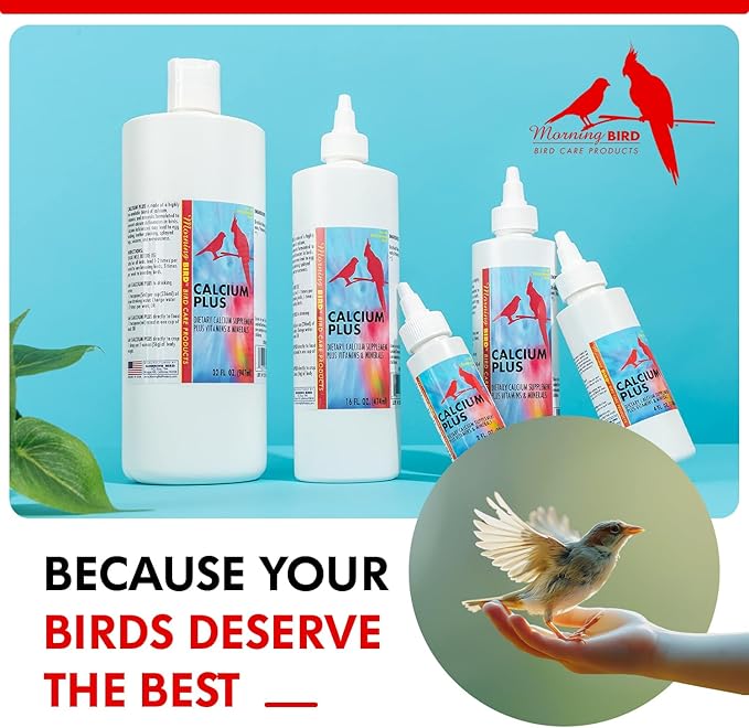 Morning Bird Calcium Plus Liquid Supplement for Birds - Liquid Calcium Formula with Magnesium and Vitamin D3 Calcium Supplement for All Birds – 8 Fl Oz - PhishStones Products