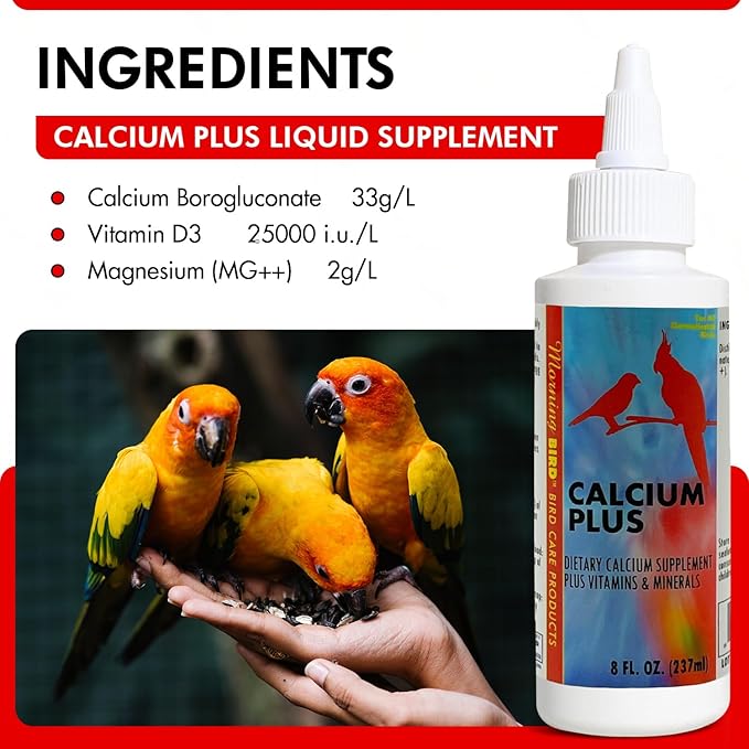 Morning Bird Calcium Plus Liquid Supplement for Birds - Liquid Calcium Formula with Magnesium and Vitamin D3 Calcium Supplement for All Birds – 8 Fl Oz - PhishStones Products
