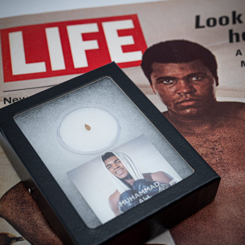 Muhammad Ali Punching Bag
