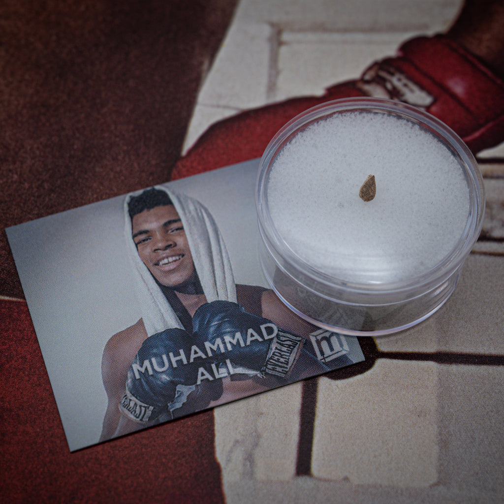Muhammad Ali Punching Bag
