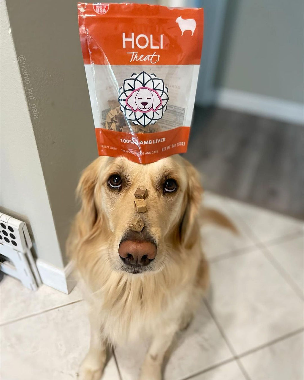 Lamb Liver Dog Treats - Freeze Dried - Single Ingredient