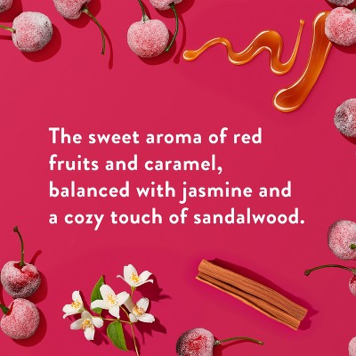 Native Holiday Limited Edition Aluminum - Free Deodorant Frosted Cherry 2.65oz - New - PhishStones Products