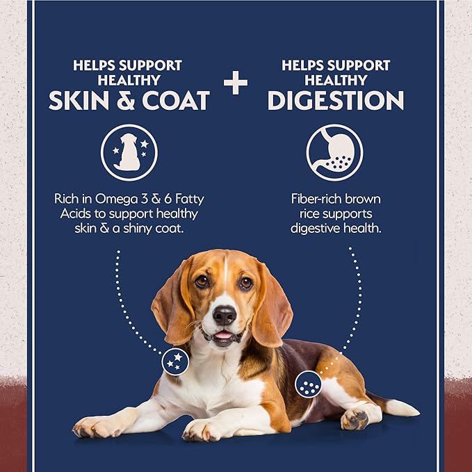 Natural Balance Limited Ingredient Adult Dry Dog Food with Healthy Grains, Beef & Brown Rice Recipe, 12 Pound (Pack of 1) - PhishStones Products