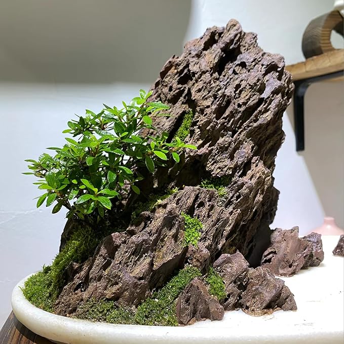 Natural Rock Stone 10LB Fish tank rock for Aquarium Landscaping Models Fish Tank Decoration, Freshwater Planted Aquariums and Amphibian enclosures - 2 - 6 inches - PhishStones Products