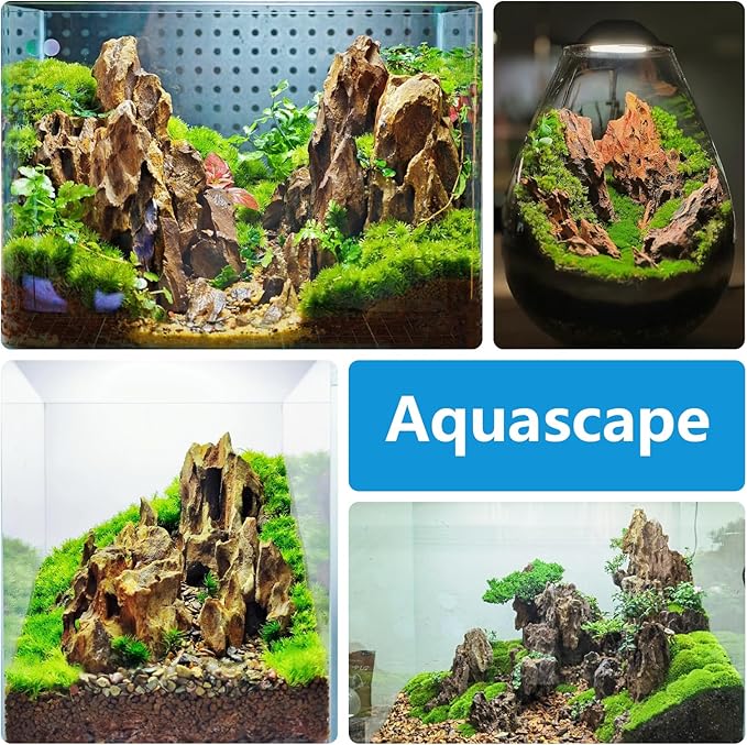 Natural Rock Stone 10LB Fish tank rock for Aquarium Landscaping Models Fish Tank Decoration, Freshwater Planted Aquariums and Amphibian enclosures - 2 - 6 inches - PhishStones Products