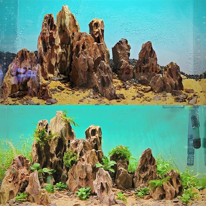 Natural Rock Stone 10LB Fish tank rock for Aquarium Landscaping Models Fish Tank Decoration, Freshwater Planted Aquariums and Amphibian enclosures - 2 - 6 inches - PhishStones Products