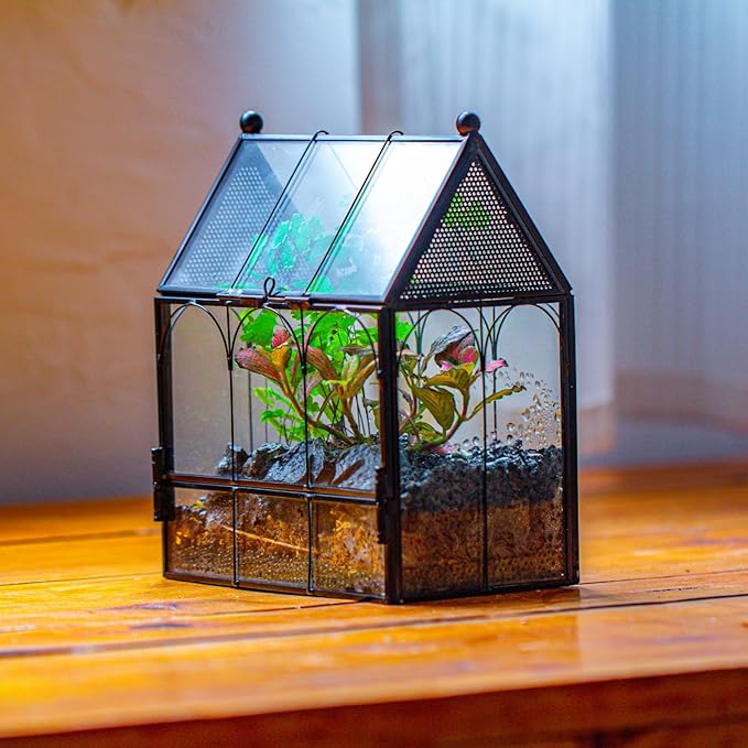 NCYP Small Glass Spider Enclosure with Mesh for Jumping Spiders, Snails, Micro House Shaped Front Opening Plant Terrarium, Home Decor Black, 5.8" x 3.8" x 7" (Terrarium Only) - PhishStones Products
