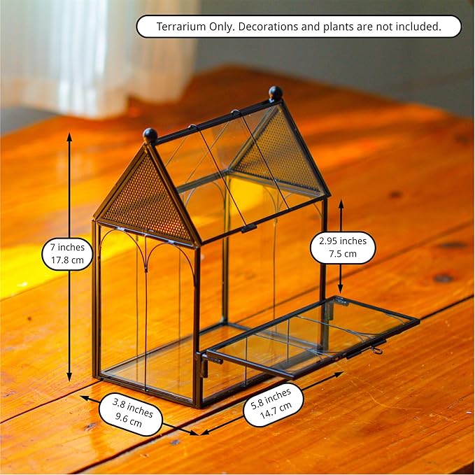 NCYP Small Glass Spider Enclosure with Mesh for Jumping Spiders, Snails, Micro House Shaped Front Opening Plant Terrarium, Home Decor Black, 5.8" x 3.8" x 7" (Terrarium Only) - PhishStones Products