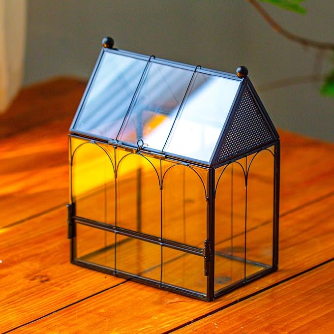NCYP Small Glass Spider Enclosure with Mesh for Jumping Spiders, Snails, Micro House Shaped Front Opening Plant Terrarium, Home Decor Black, 5.8" x 3.8" x 7" (Terrarium Only) - PhishStones Products