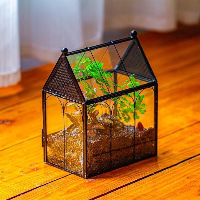 NCYP Small Glass Spider Enclosure with Mesh for Jumping Spiders, Snails, Micro House Shaped Front Opening Plant Terrarium, Home Decor Black, 5.8" x 3.8" x 7" (Terrarium Only) - PhishStones Products