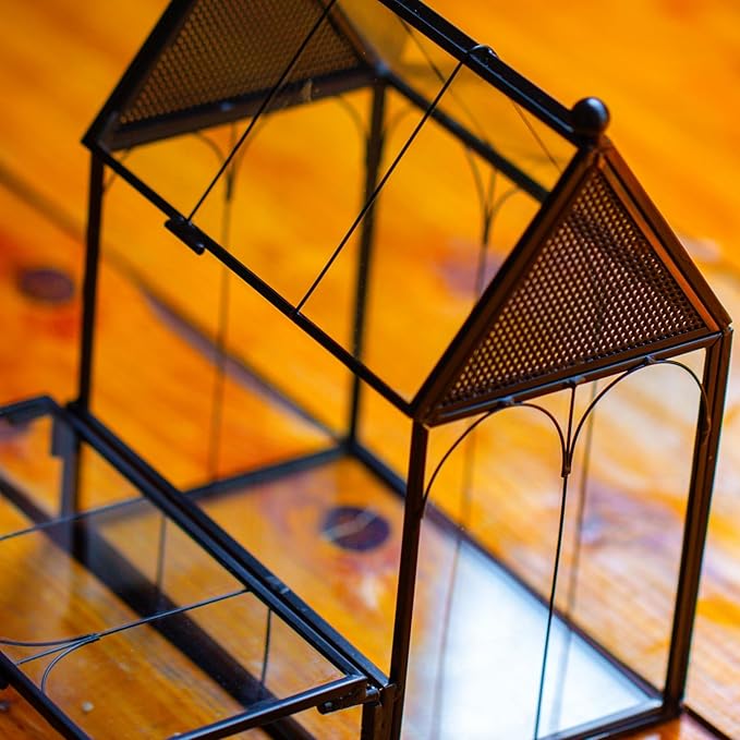 NCYP Small Glass Spider Enclosure with Mesh for Jumping Spiders, Snails, Micro House Shaped Front Opening Plant Terrarium, Home Decor Black, 5.8" x 3.8" x 7" (Terrarium Only) - PhishStones Products