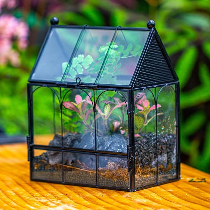 NCYP Small Glass Spider Enclosure with Mesh for Jumping Spiders, Snails, Micro House Shaped Front Opening Plant Terrarium, Home Decor Black, 5.8" x 3.8" x 7" (Terrarium Only) - PhishStones Products