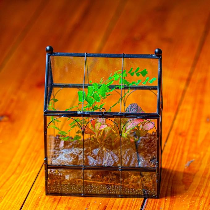 NCYP Small Glass Spider Enclosure with Mesh for Jumping Spiders, Snails, Micro House Shaped Front Opening Plant Terrarium, Home Decor Black, 5.8" x 3.8" x 7" (Terrarium Only) - PhishStones Products