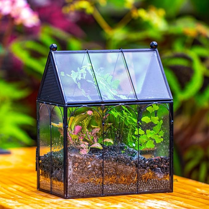 NCYP Small Glass Spider Enclosure with Mesh for Jumping Spiders, Snails, Micro House Shaped Front Opening Plant Terrarium, Home Decor Black, 5.8" x 3.8" x 7" (Terrarium Only) - PhishStones Products