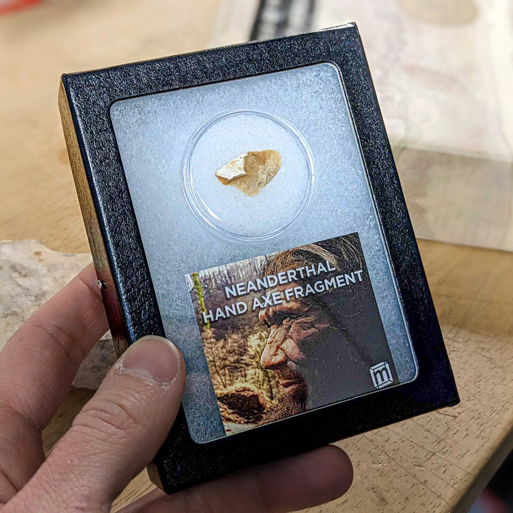Neanderthal Classic Riker Box Stone Tool Fragment