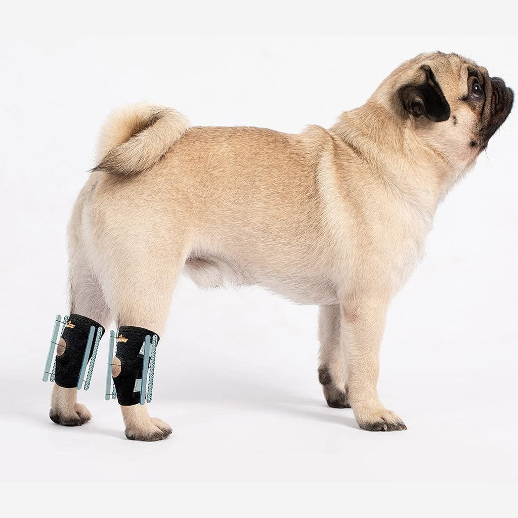 NeoAlly 3-in-1 Short Rear Leg Hock Brace for Smaller Dogs with Rigid and Spring Inserts | Safety Reflective Straps [Short Version] (Pair)