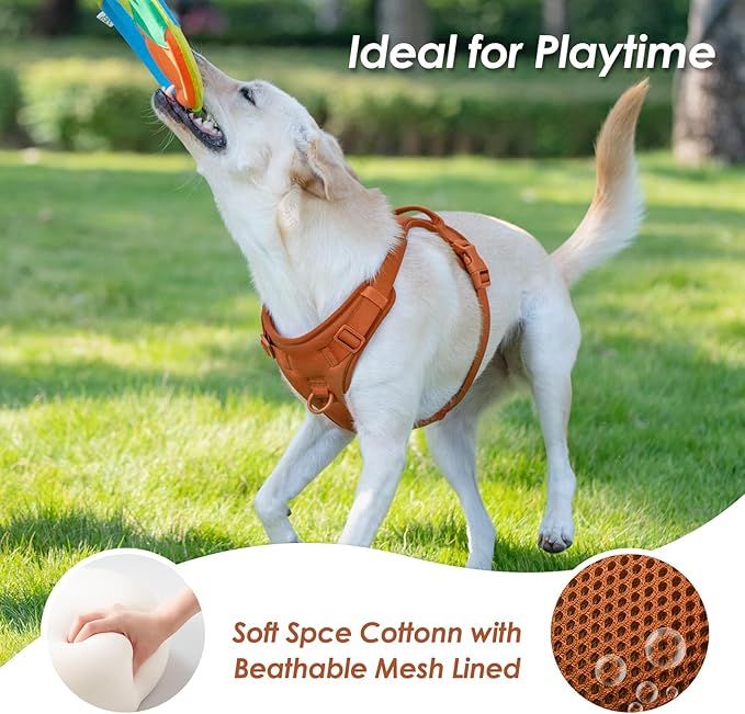 No Pull Dog Harness, Puppy Vest with Front Clip for Small Medium Large Sized Dog(Carmel Brown,S) - PhishStones Products