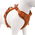 No Pull Dog Harness, Puppy Vest with Front Clip for Small Medium Large Sized Dog(Carmel Brown,S) - PhishStones Products