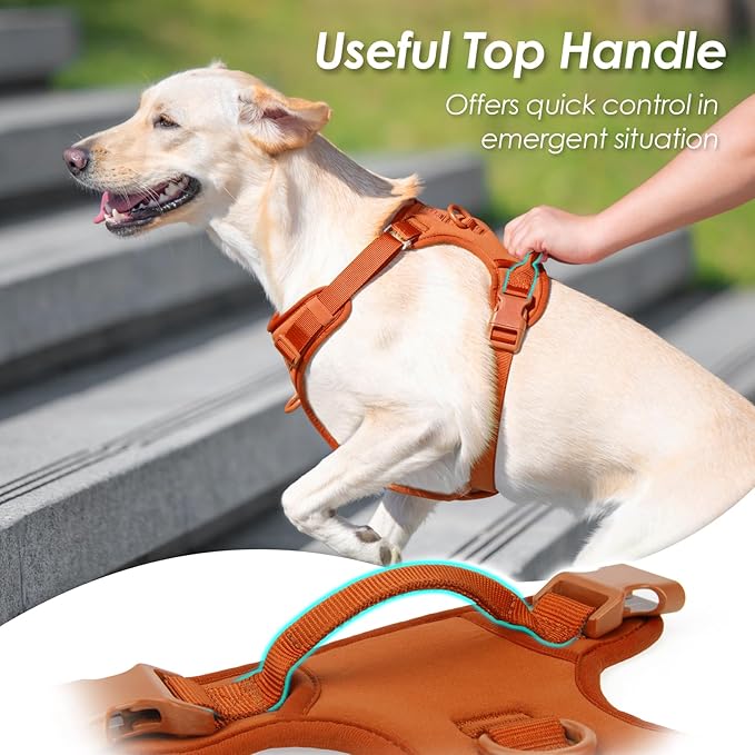 No Pull Dog Harness, Puppy Vest with Front Clip for Small Medium Large Sized Dog(Carmel Brown,S) - PhishStones Products