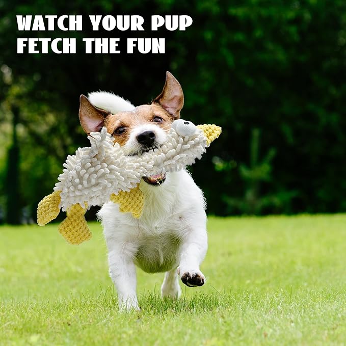 Nocciola Plush Squeaky Dog Toys, Cute Durable Stuffed Crinkle Puppy Pet Chew Toys for Large Medium Small Dogs - Dragonfly - PhishStones Products